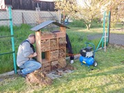 Opravujeme hmyzí hotel